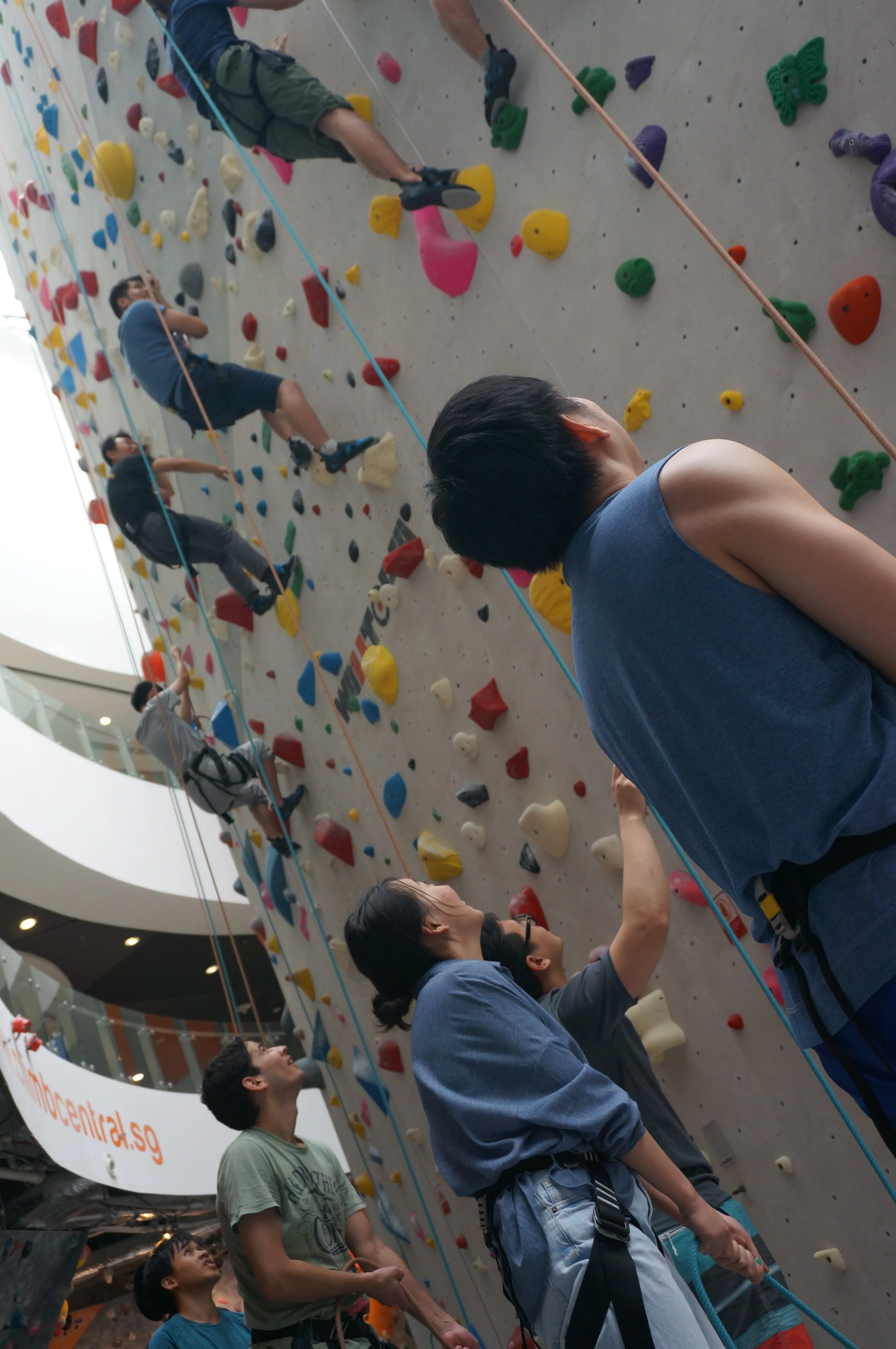 The belay device could suspend and let us rest mid-way, making higher climbs easier